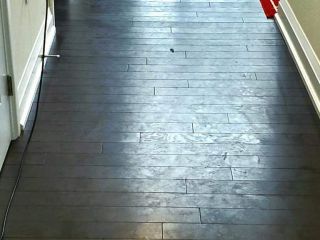 87813974_2491595531105746_4579939196428353536_o
