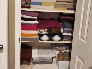 90384184_2506914219573877_2208762579226984448_o