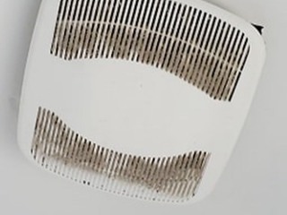 90815018_2503456896586276_7167958567692009472_n