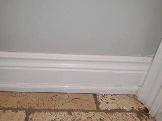 91711726_2511062262492406_9213395300272570368_o