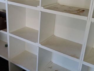 92824346_2518979465034019_5995232423422459904_o