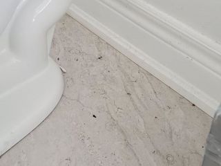 93975696_2530860383845927_5891908094534877184_o