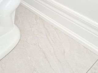 94194910_2530860430512589_4662564523138351104_o