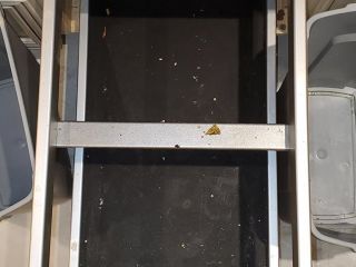 94268391_2532506740347958_3657665819392868352_o