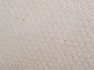 95589275_2541635872768378_3104863855784755200_o