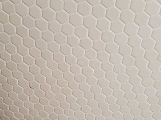 96245012_2541635916101707_55549968840130560_o